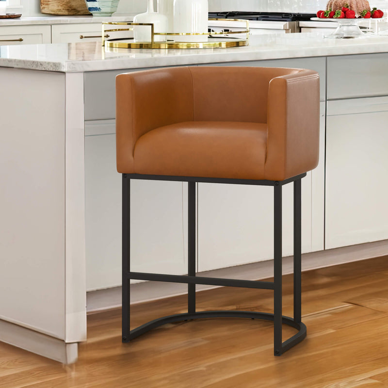 Jessica Modern Barstool with Arms