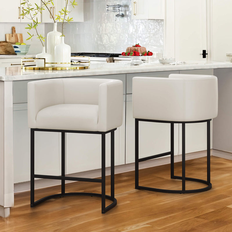 Jessica Modern Barstool with Arms