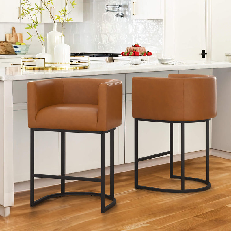 Jessica Modern Barstool with Arms