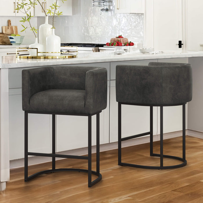 Jessica Modern Barstool with Arms
