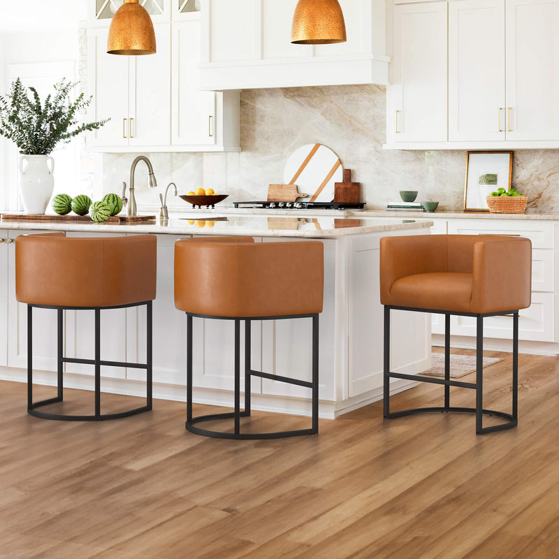 Jessica Modern Barstool with Arms