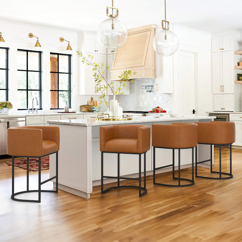 Jessica Modern Barstool with Arms