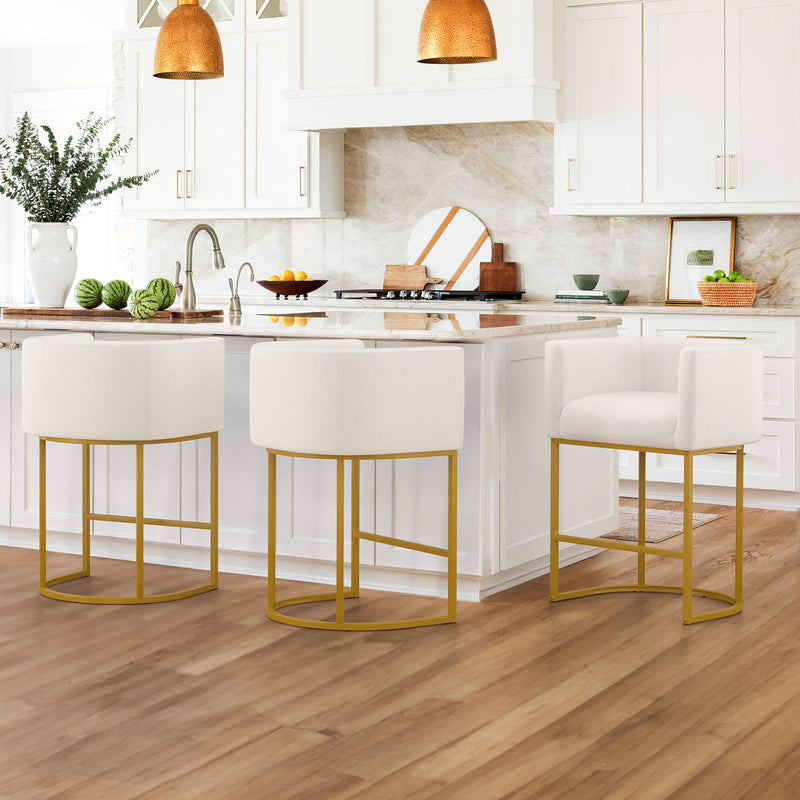 Jessica Modern Barstool with Arms