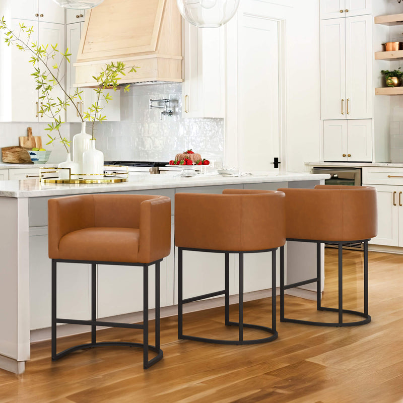 Jessica Modern Barstool with Arms