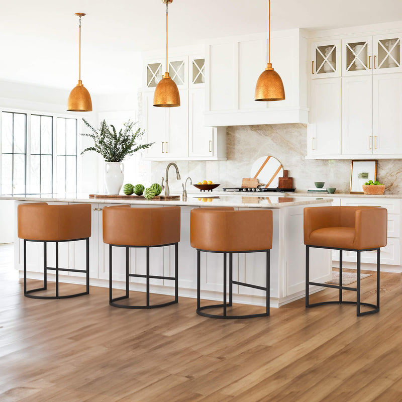 Jessica Modern Barstool with Arms