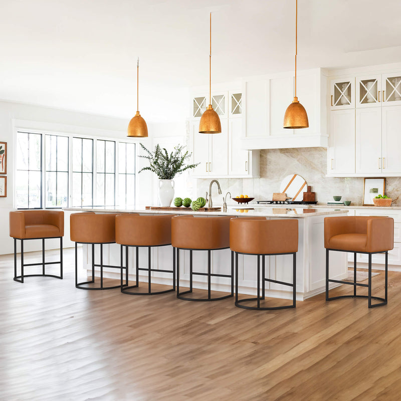 Jessica Modern Barstool with Arms