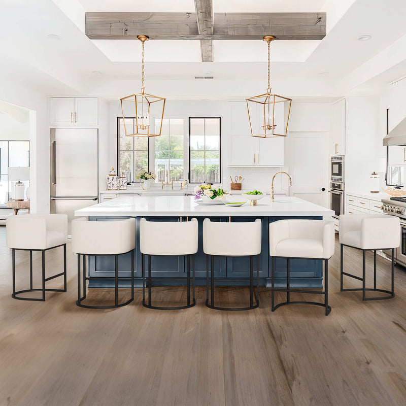 Jessica Modern Barstool with Arms