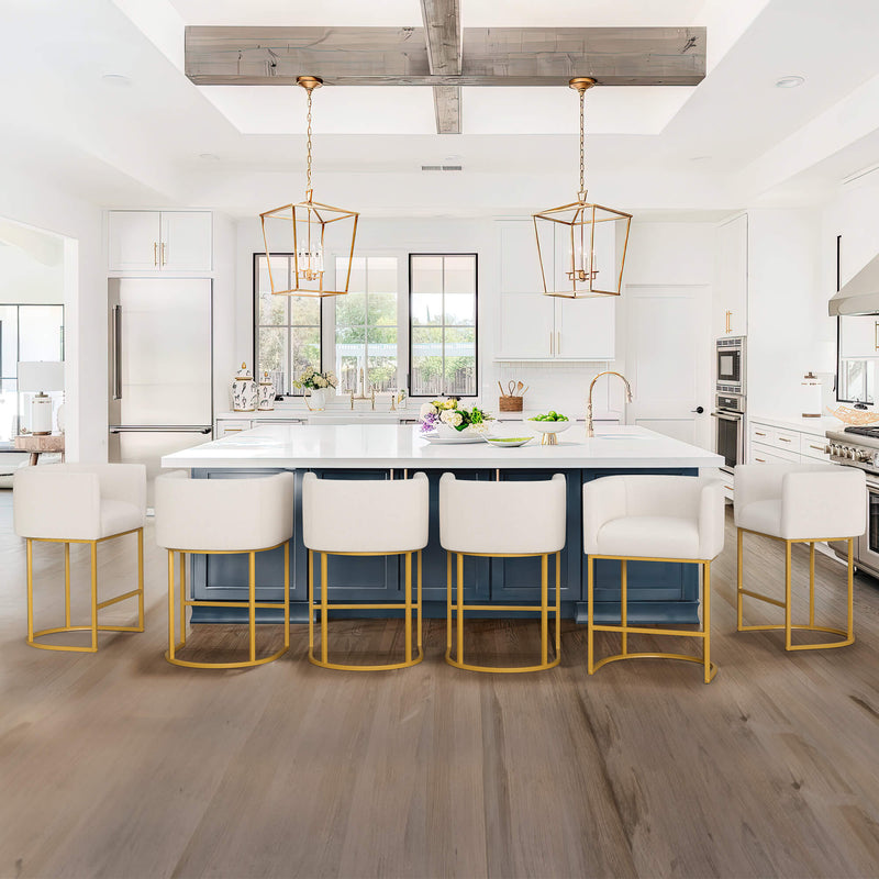 Jessica Modern Barstool with Arms