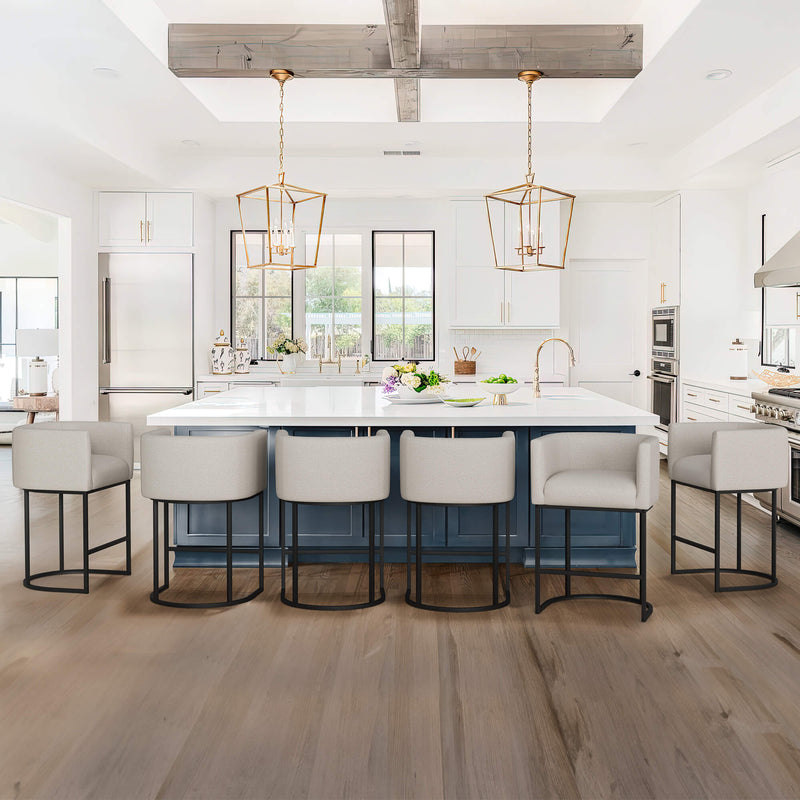 Jessica Modern Barstool with Arms