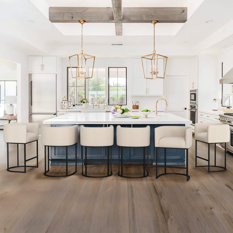 Jessica Modern Barstool with Arms