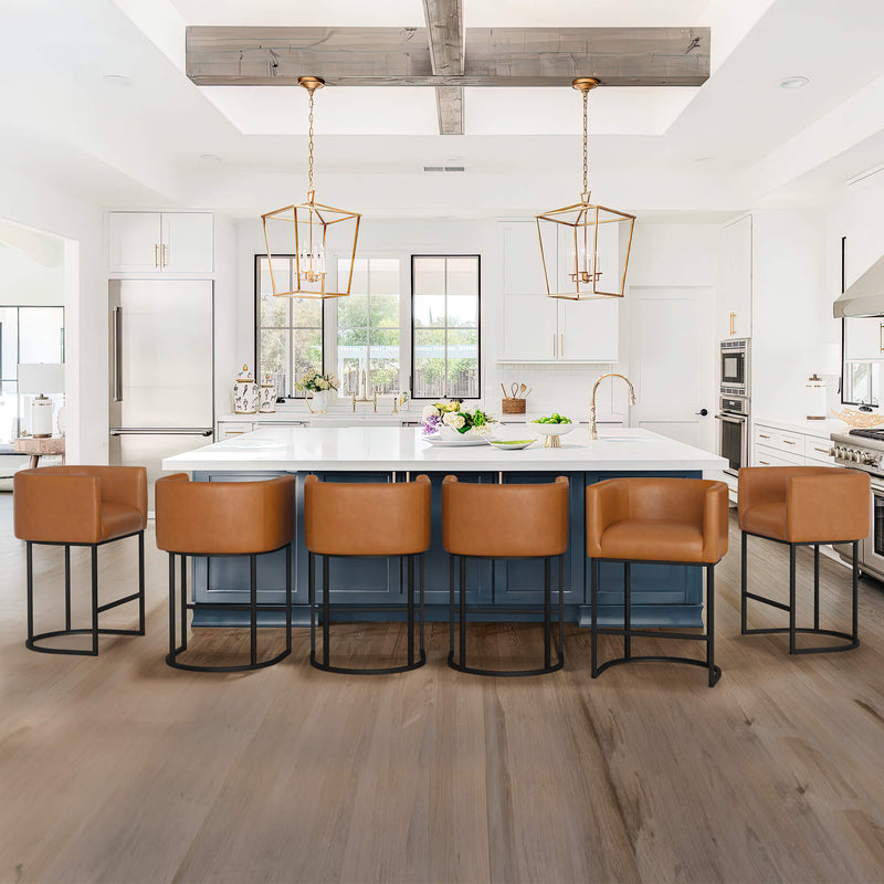 Jessica Modern Barstool with Arms
