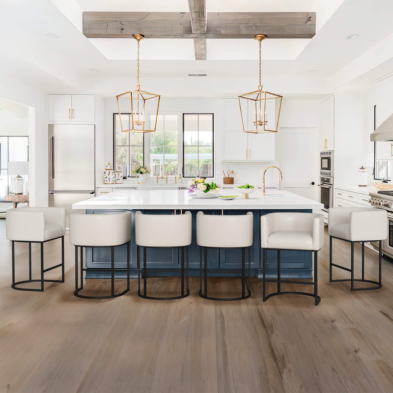 Jessica Modern Barstool with Arms