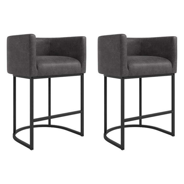 Jessica Modern Barstool with Arms