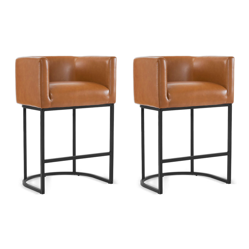 Jessica Modern Barstool with Arms